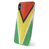 Guyana Flag Distressed iPhone X Skin